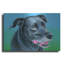 «Black Lab Mix» par Rebecca Wang Art-436879027