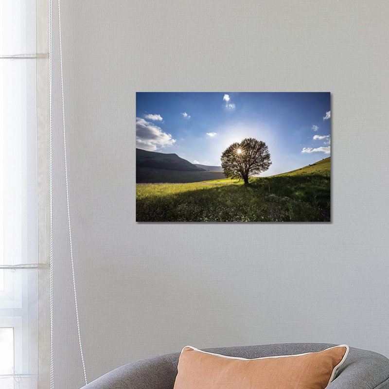 Italy, Castelluccio, Piano Grande. Backlit Tree at Sunset. 1 Piece Wrapped Canvas Wall Art, 66.04 cm H x 45.72 cm W