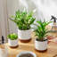 ZTHPOT Ceramic Pot Planter-865196237