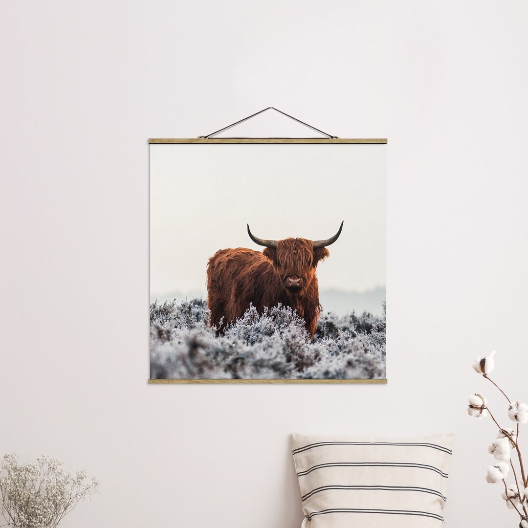 Fotodruck Bisons in den Highlands