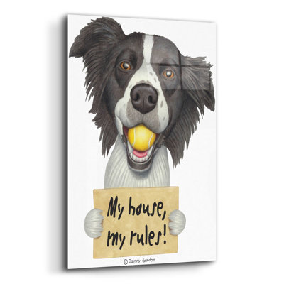 " Border Collie Ball In Mouth "