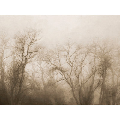 «The Secrets of The Trees» par Scott Norris - peinture encadrée