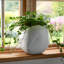Contenant décoratif de jardin intérieur / extérieur texturé en pot de 7 po - blanc