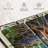 " Hawaiian Banyan Tree " 3 - Pieces-98864831