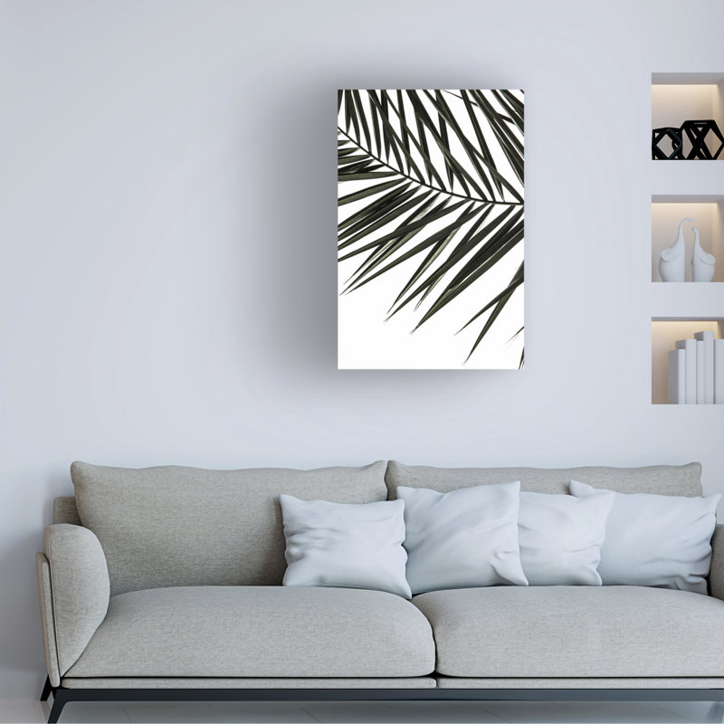 «Shot By Clint Phoenix Frond», art sur toile, H 24 po x l 16 po x P 2 po