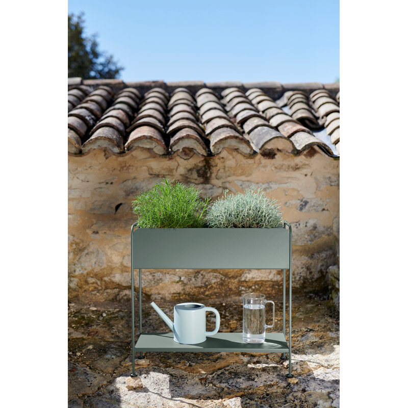 Picolino Metal Planter, Rosemary