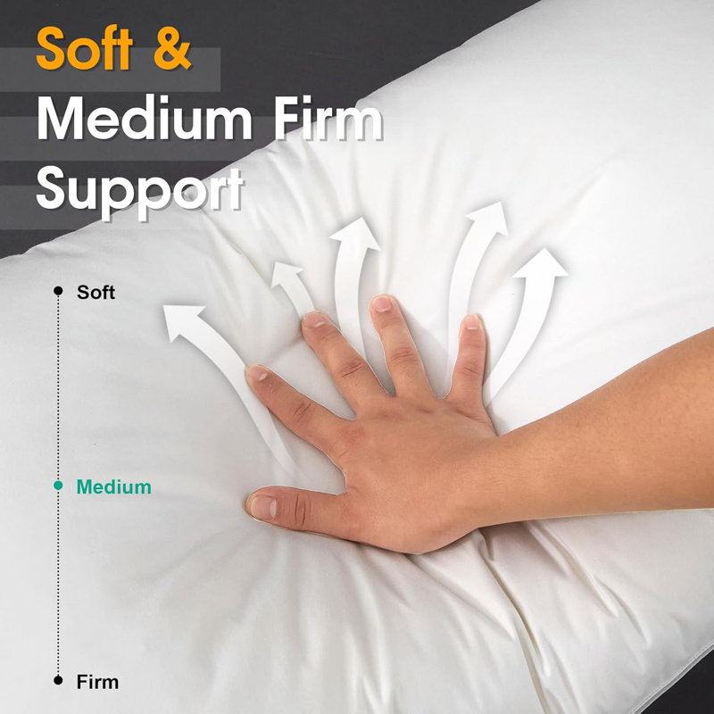 Housse de coussin en duvet d'oie blanche 100% coton, Très grand: 20 po x 36 po