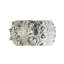 Shell Napkin Ring Gift Box-531839669