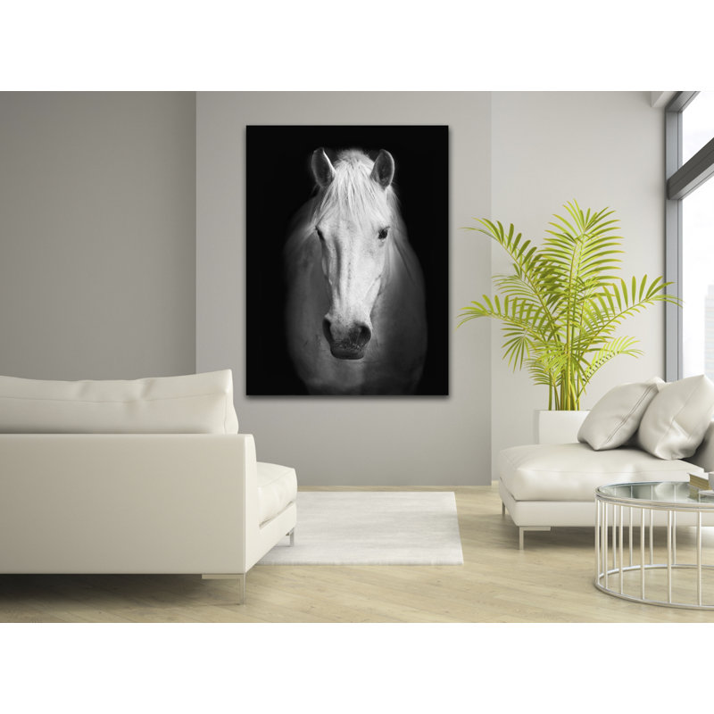 «White Horse Face», reproduction de photo sur toile tendue, H 40 po x l 30 po x P 1 po