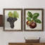 Antique Fruit VIII - Ensemble de 2 reproductions d'art sur toile-1352268774-1352268568
