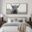 «Animals Highland Cow», portrait en noir et blanc sur toile-98042249-111176158