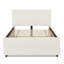 Lit simple Hund Trundle-130076202-130076205