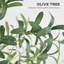 Indoor / Outdoor Lighted Trees & Branches