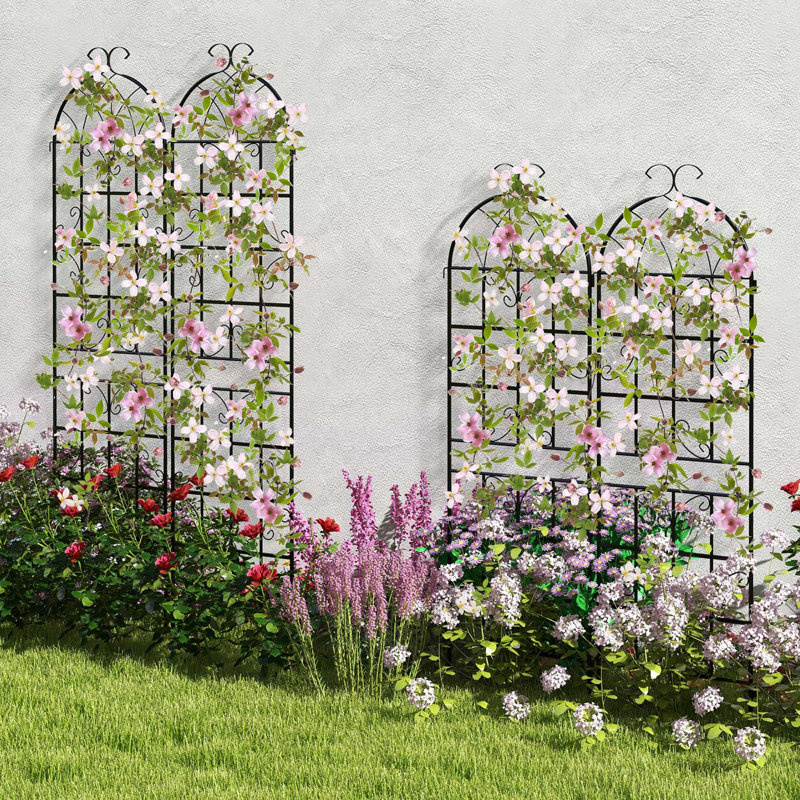 Red Barrel Studio 4 Pack 87" X 20" Metal Garden Trellis Decorative Outdoor Trellis
