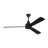 Ceiling Fan with LED Lights-211481074-220343687