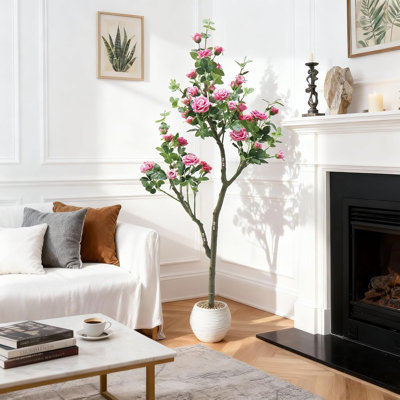 183cm Plant