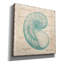  'Oyster' by Erin Clark Canvas Wall Art, 26" x 26"-823071717