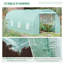 Serre tunnel Outsunny 6 m x 3 m avec fenêtres et porte enroulables, ensemble de serre de jardin à structure en acier robuste
