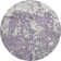 Premium Machine Washable Prisco Lavender Rug