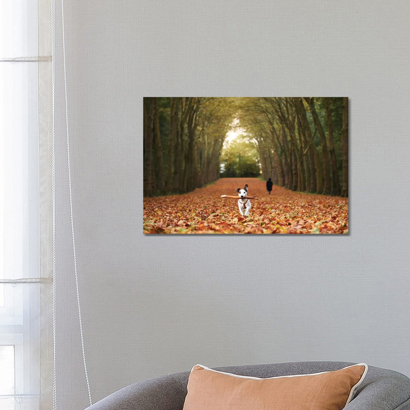 Jack 1 Piece Wrapped Canvas Wall Art, 66.04 cm H x 45.72 cm W x 3.175 cm D