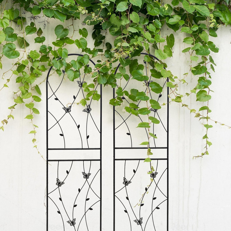 Paquet de 2 treillis de jardin en métal antirouille pour plantes grimpantes, support à fleurs extérieur papillon déco noir