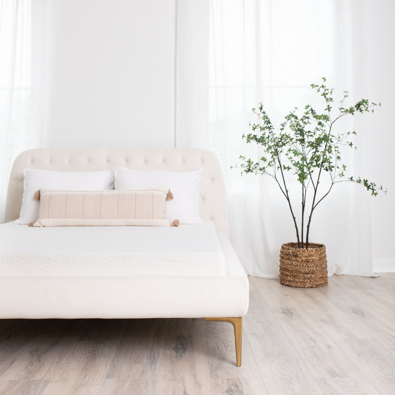 Matelas en mousse à mémoire de forme moyenne Signature Design par Ashley Chime, Double