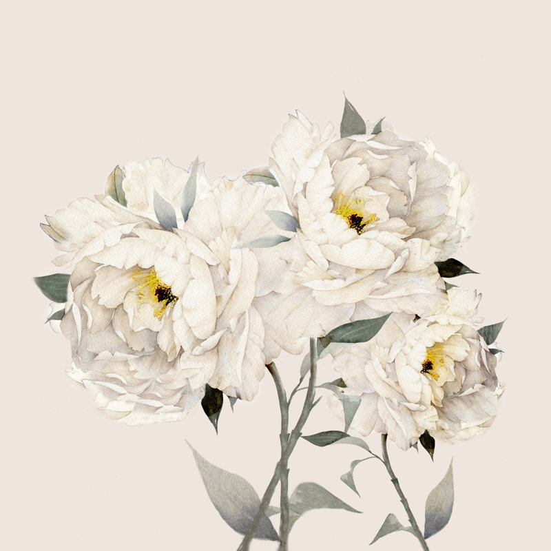 White Pivoines par Nadja 1 - Impression sur toile tendue, H 12 po x l 12 po, Non, Cadre flottant noyer