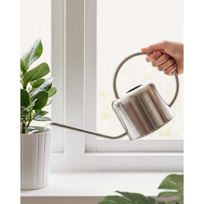 35 OZ 3L Stainless Steel Metal Watering Can Long Spout Watering Can for Indoor Outdoor House Potted Plants Succulents Bonsai Garden Flowers