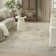 Louque Oriental Indoor Rug