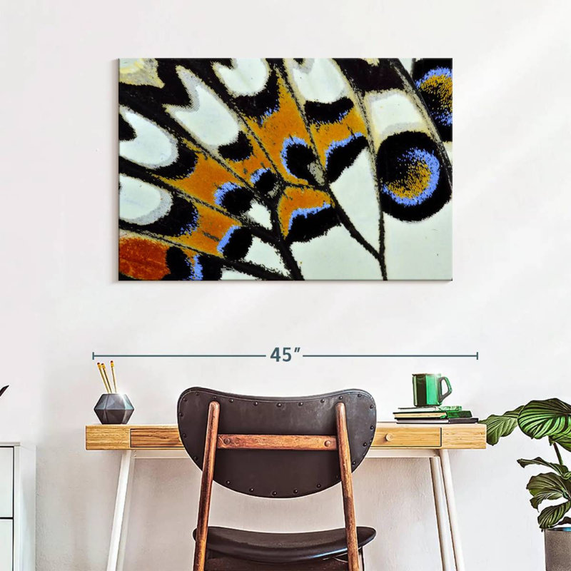 Brampt Butterfly Wing Close Up, 26" H x 39" W