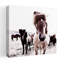 Islande, cheval, Rikka, art contemporain abstrait, paysage de cheval