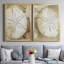 «Dry Sand Dollar I», ensemble de 2 reproductions de photos sur toiles-121000922-121000917