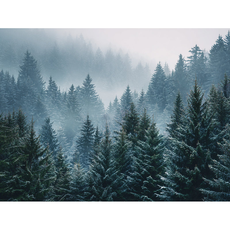 «Fog Over Winter Pines», art mural sur toile tendue, H 36 po x l 48 po