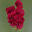 Plastic, Silk Artificial Arrangement in Pot-107235799