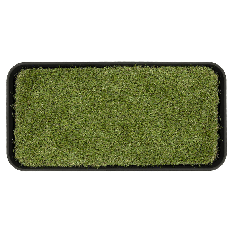 Small Black Rubber and Polypropylene Pet Training Pad