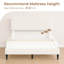Base de lit tapissier Brookport-105778922