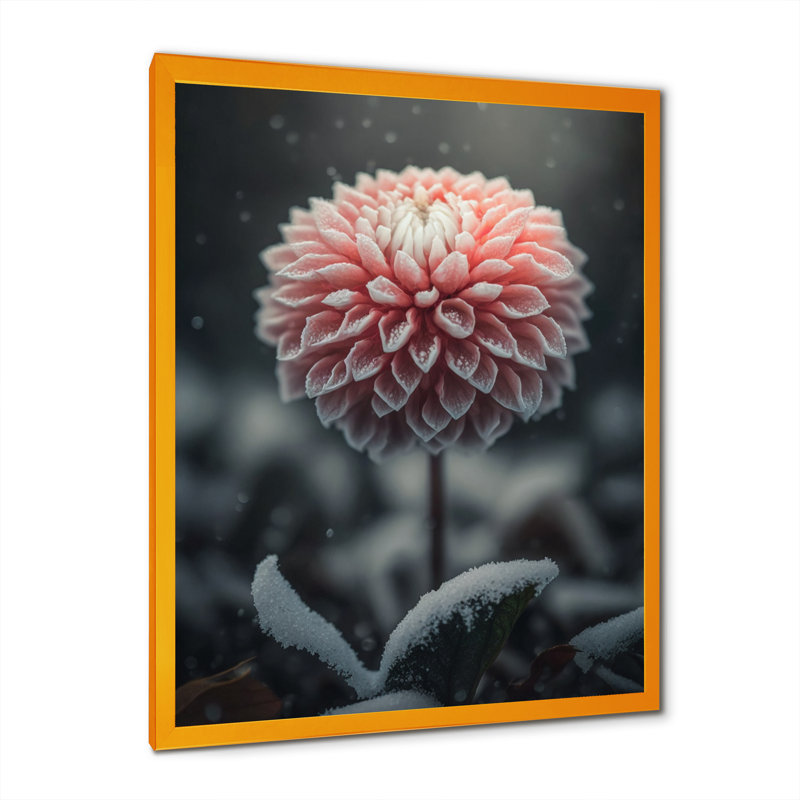 «A Blooming Pink Dahlia Flower in Winter III», impression sur toile, H 32 po x l 16 po x P 1 po