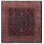 Bidjar One-of-a-Kind 8'5" Hand Knotted Area Rug