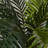 Thisbe 60'' Faux Palm Tree in Pot