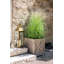 Lakewood Wood Planter-725086190