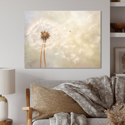 White Dandelion Romantic Impression IV - Floral Print on Metal