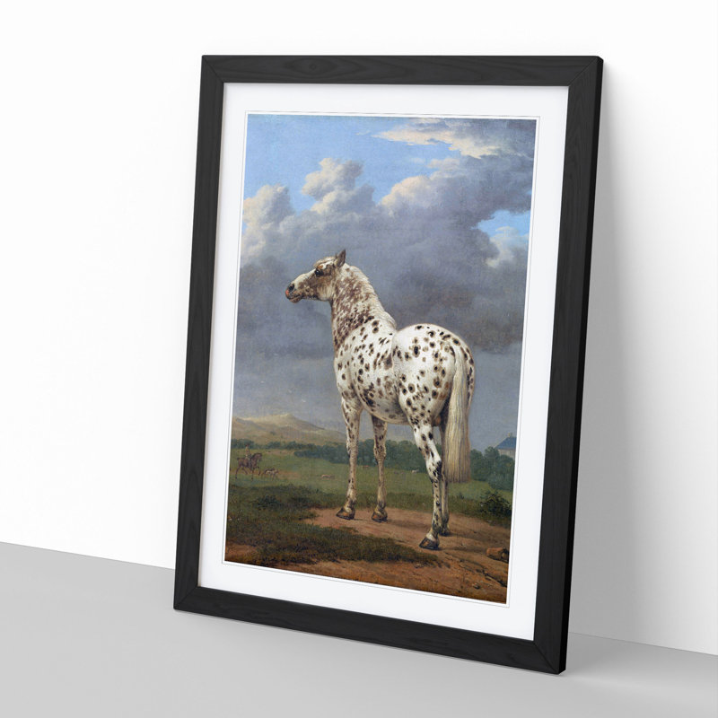 The Piebald Horse by Paulus Potter - Picture Frame Painting, Black Framed, 36cm H x 27cm W x 2cm D