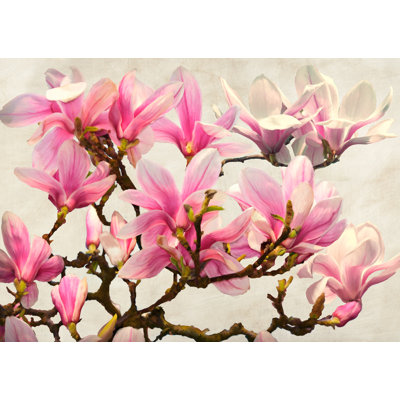 Magnolia Branch (Neutral) by Luca Villa - Wrapped Canvas Art Prints