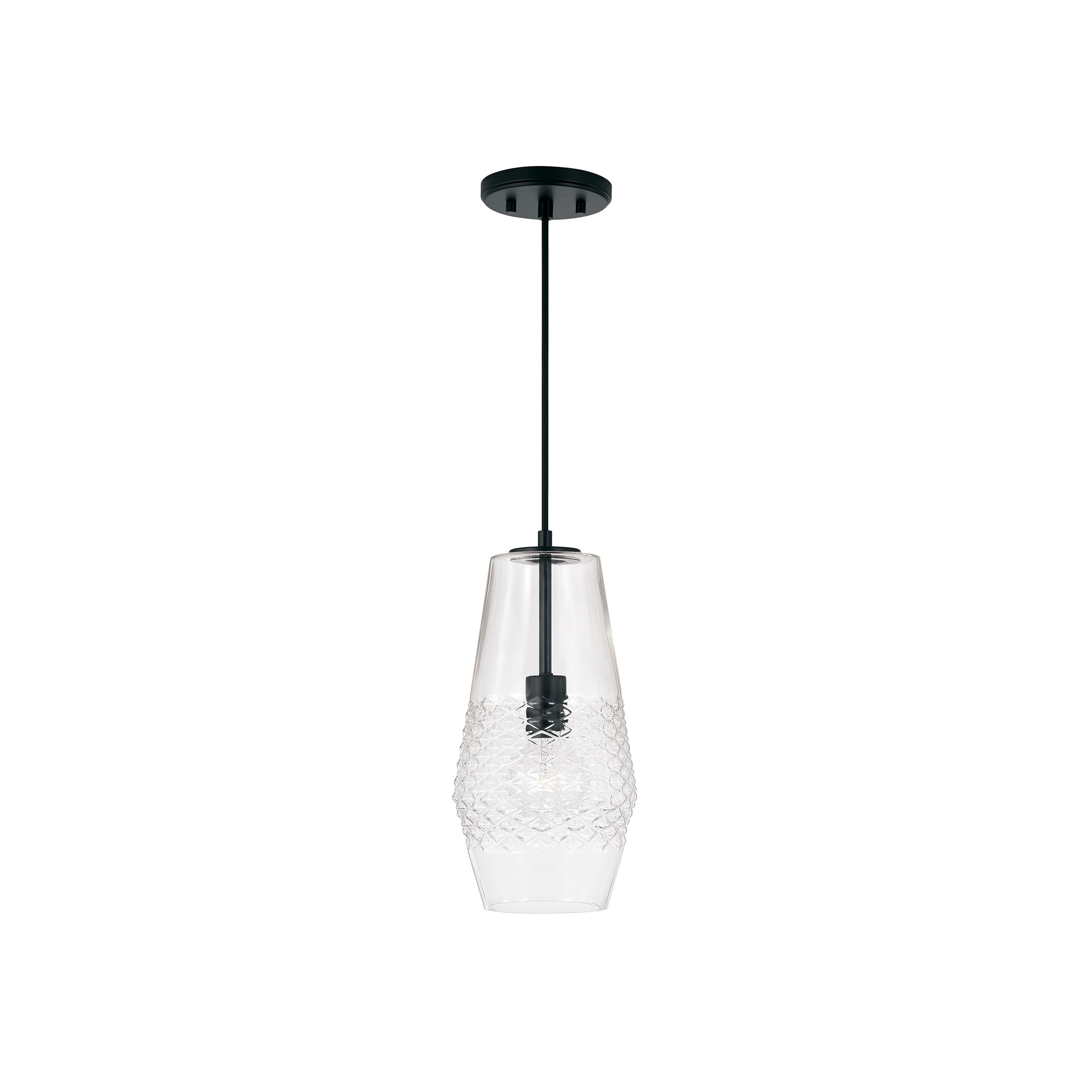 Single Light Glass Dimmable Pendant, Matte Black