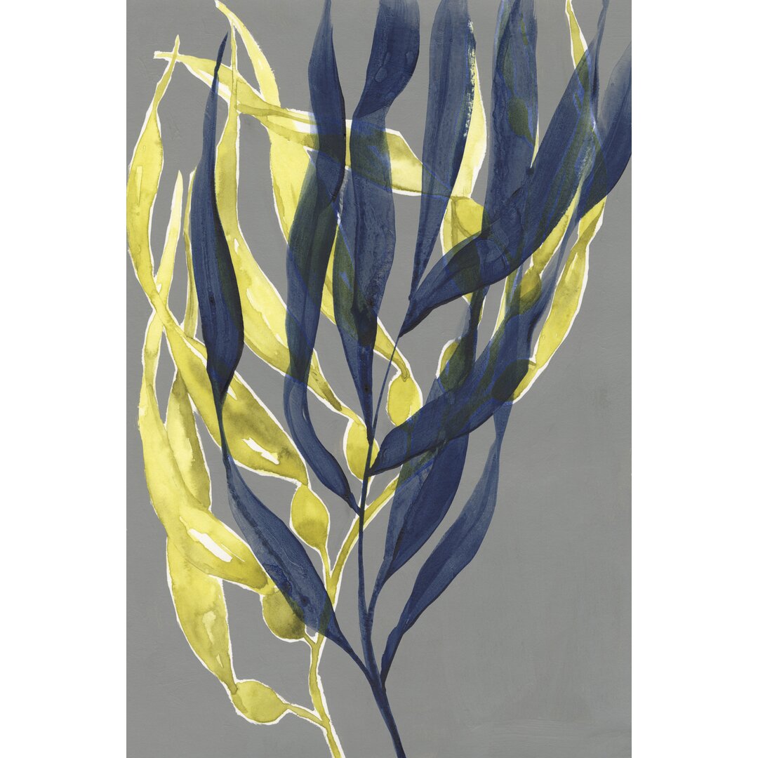 Leinwandbild Kelp Embrace II von Jennifer Goldberger