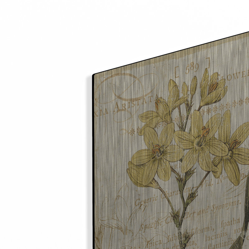 Études florales II par NBL Studio, H 24 po x l 16 po