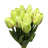 Tulip Arrangement-1691568786