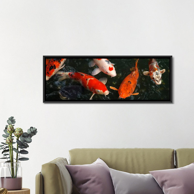 Koi Carp in Japon - Reproduction de photo panoramique non encadrée sur toile, H 16 po x l 48 po x P 1,5 po, Toile tendue