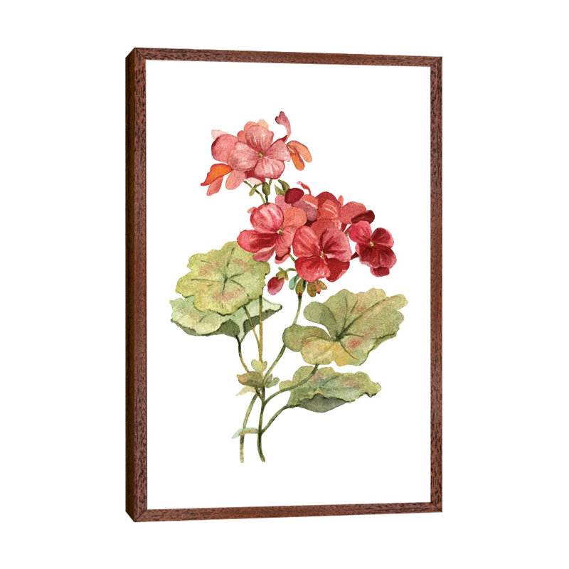 Scarlet Geranium 1 Piece Painting on Canvas, 66.04 cm H x 45.72 cm W, Classic Wood Framed