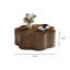 35.43" Mid-Century Floral-shaped Coffee Table With Walnut Veneer Top